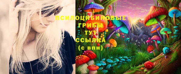кристаллы Ладушкин