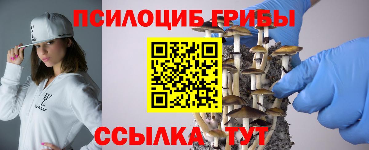 Псилоцибиновые грибы Psilocybine cubensis  Симферополь 